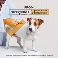 Nutramax Filaquin prébiotiques et postbiotiques, soutien digestif potentiel.