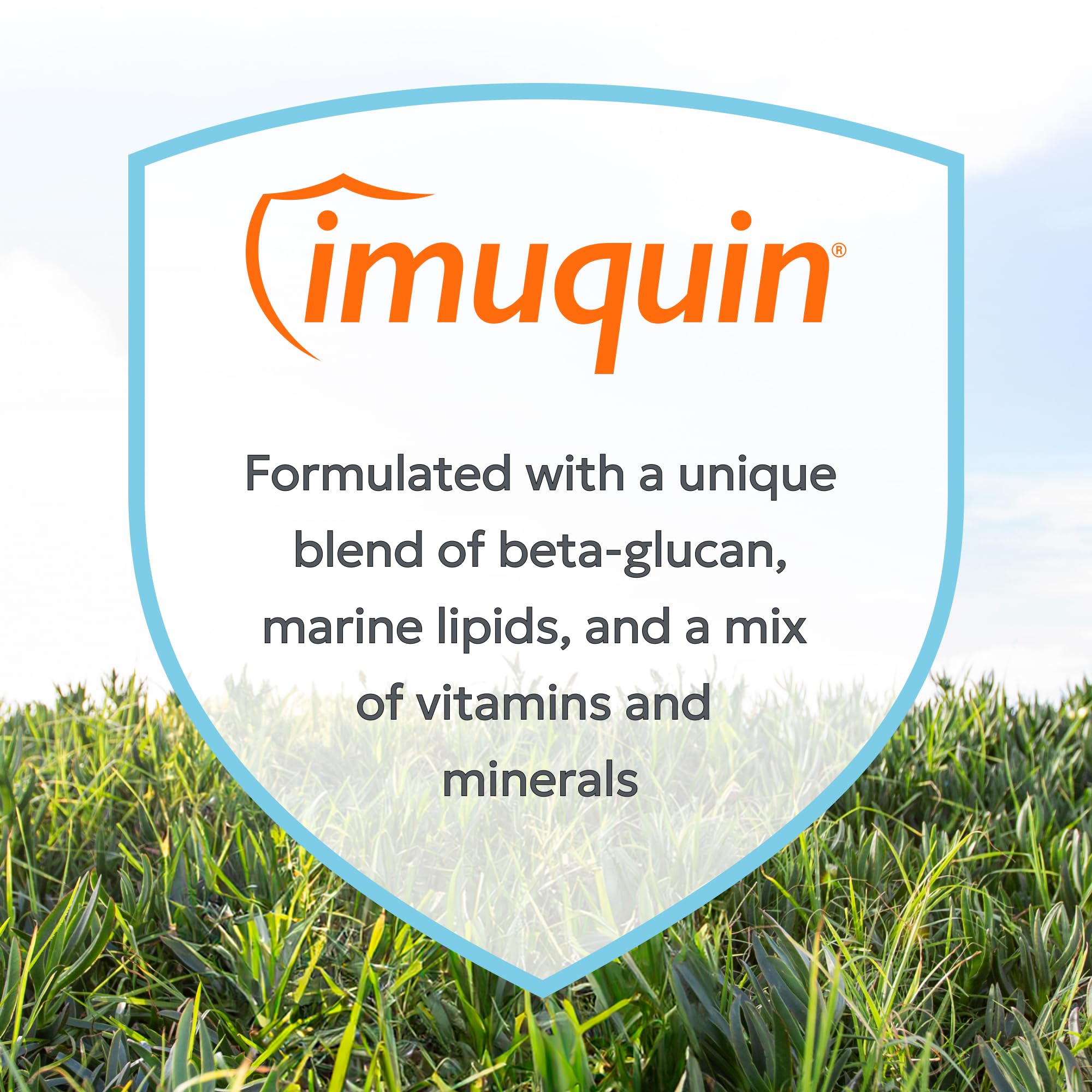 Nutramax Imuquin: chien en train de manger, soutien immunitaire au quotidien.