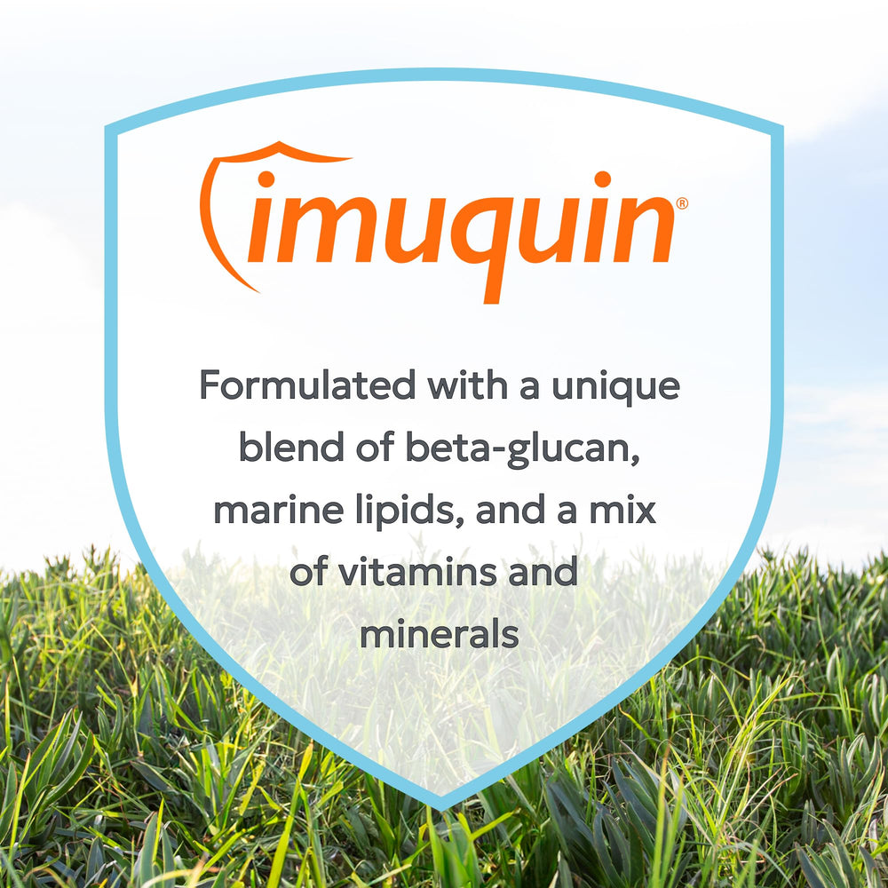 Nutramax Imuquin: chien en train de manger, soutien immunitaire au quotidien.