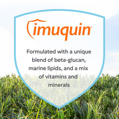 Nutramax Imuquin: chien en train de manger, soutien immunitaire au quotidien.