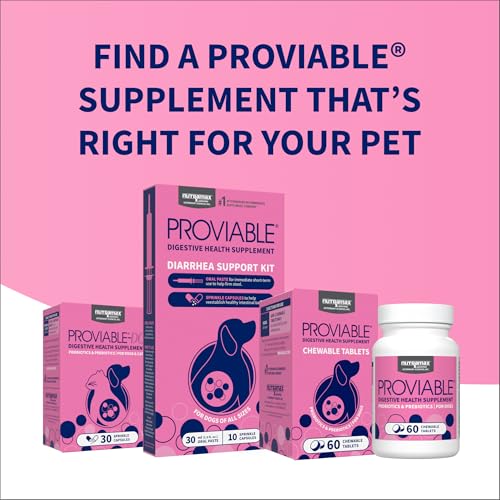 Nutramax Proviable — complément vétérinaire recommandé pour chiens.