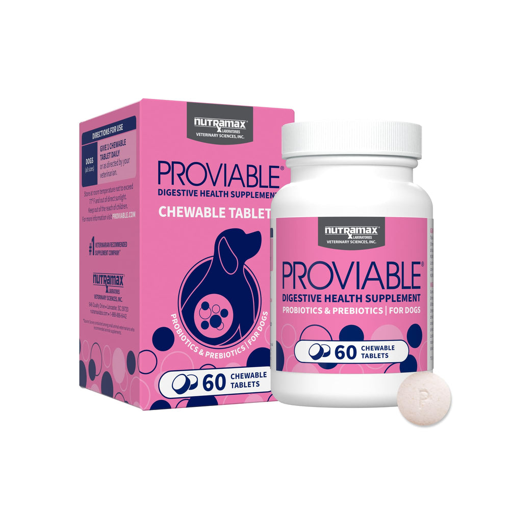 Nutramax Proviable — emballage pour chiens, aperçu du produit et conseils d'utilisation.