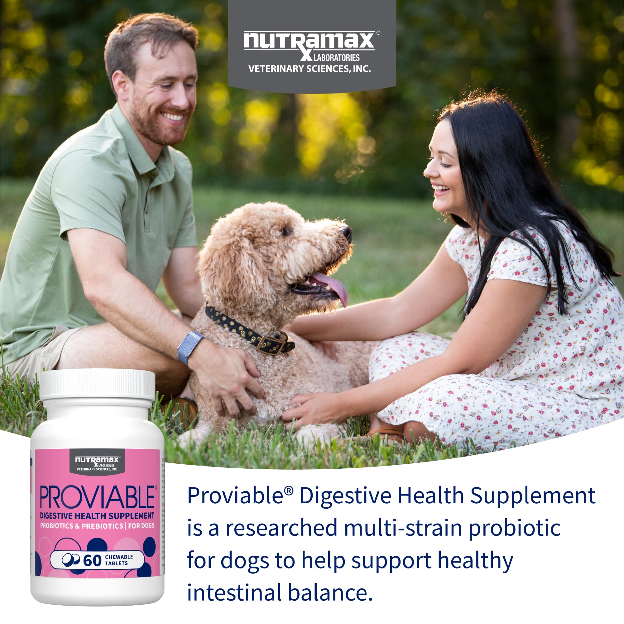 Nutramax Proviable — flacon-probiotiques pour chiens, soutien potentiel de la flore intestinale.
