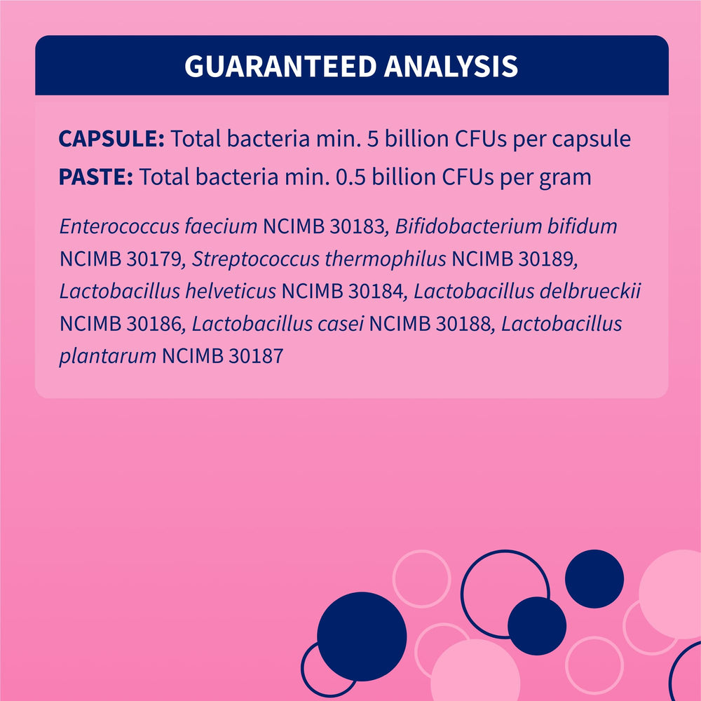 Produit recommandé par vétérinaires Nutramax Proviable pour la santé intestinale.