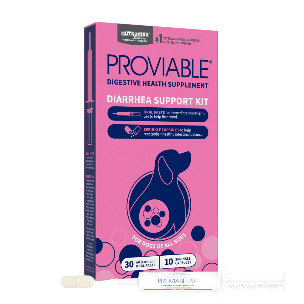 Kit Nutramax Proviable avec probiotiques et pâte, soutien digestif potentiel pour chien.