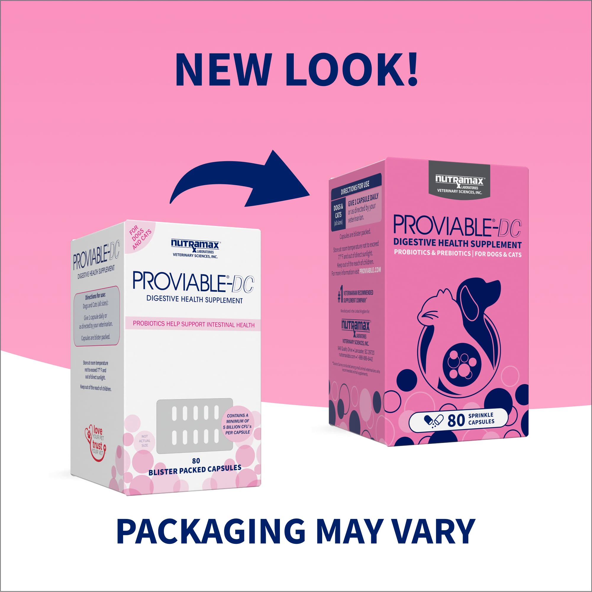Nutramax Proviable: poudre à saupoudrer sur la nourriture pour nourrir les probiotiques.