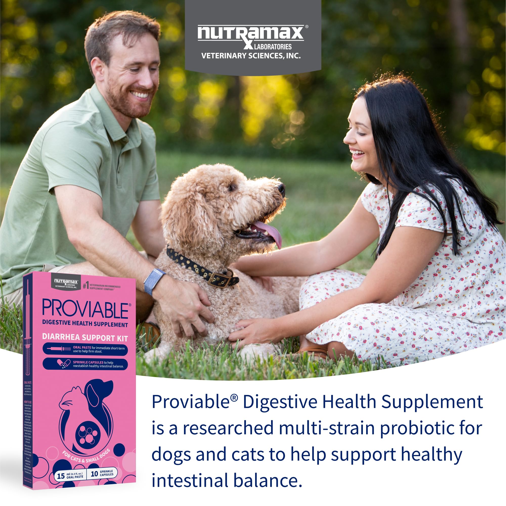 Probiotiques multiples pour chiens et chats, soutien de l’équilibre gastro-intestinal.