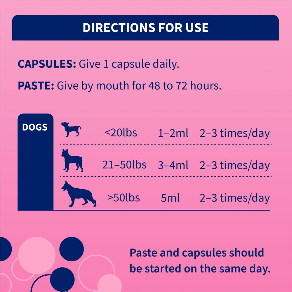 Sachets de capsules probiotiques à saupoudrer sur l’alimentation.