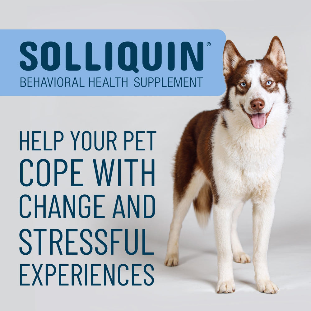 Nutramax Solliquin-bouteille-doseurs: dosage pratique pour le quotidien.
