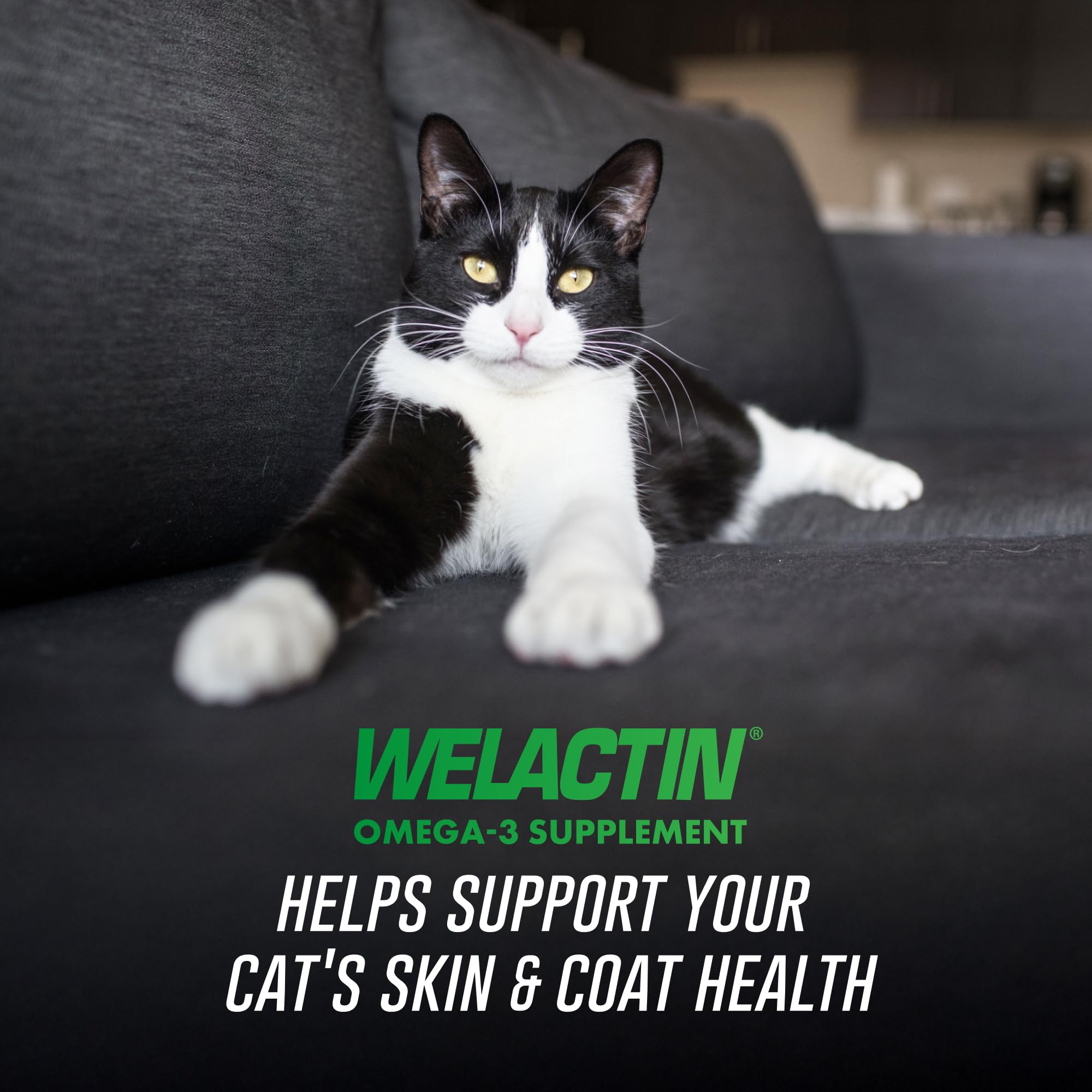 Nutramax Welactin – doseur, facilité d'administration sur le repas du chat.