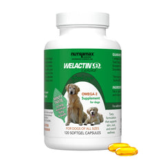 Nutramax Welactin gélules softgel sur bouteille: soutien du pelage sain et de la peau.