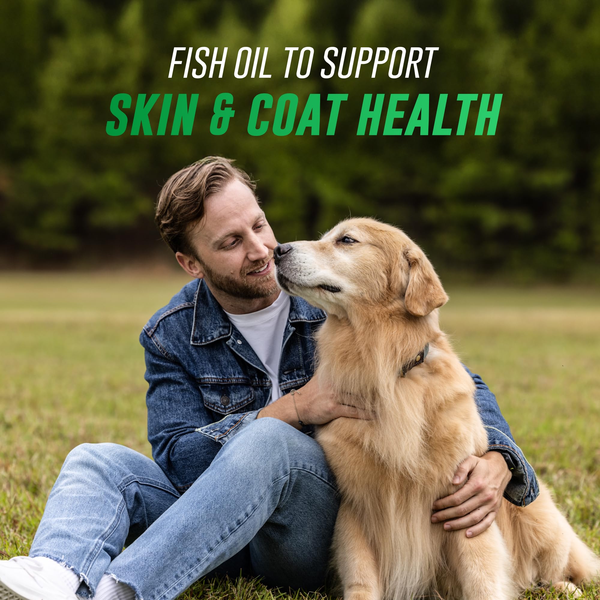 Gouttes Welactin ajoutées au repas chien pour une utilisation simple.