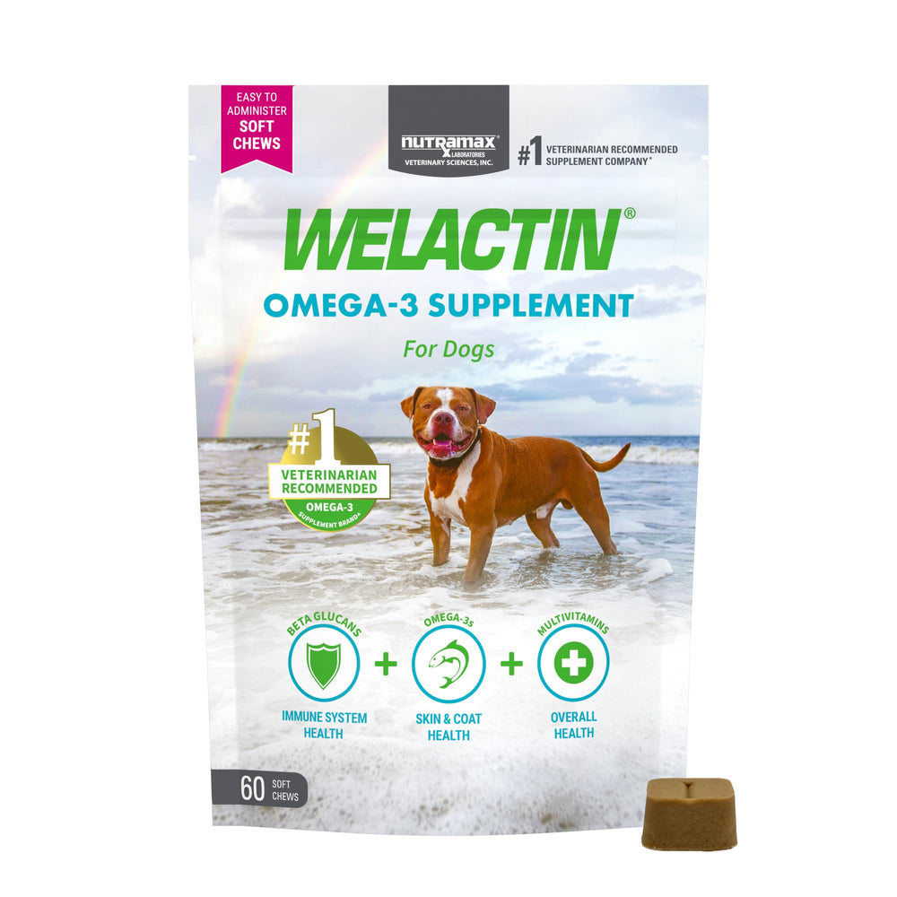 Welactin Nutramax: bouteille d'huile poisson pour chien, soin peau et pelage.