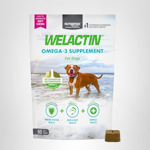 Welactin Nutramax: soutien santé chien sur le long terme.