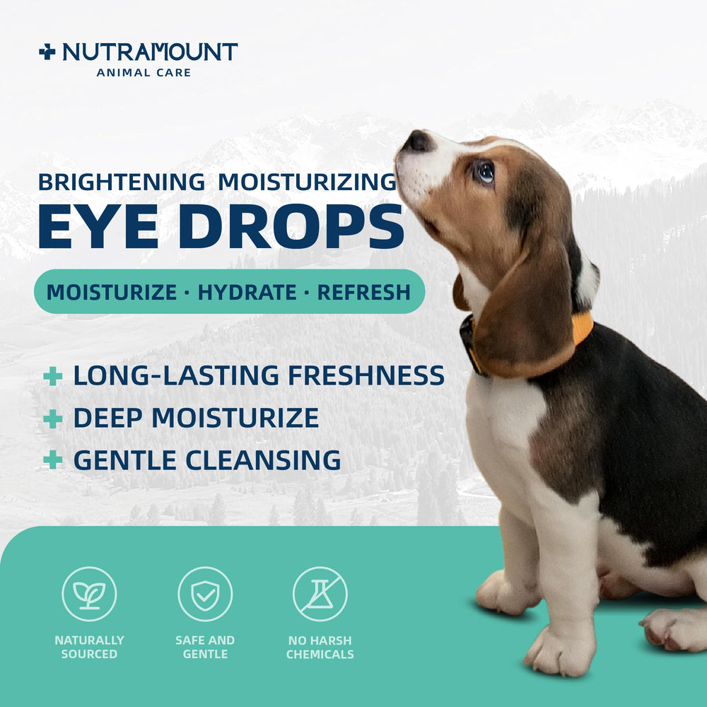 Gouttes Nutramount pour chats; hydratation et soulagement quotidien.