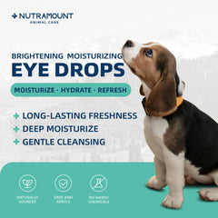 Gouttes Nutramount pour chats; hydratation et soulagement quotidien.
