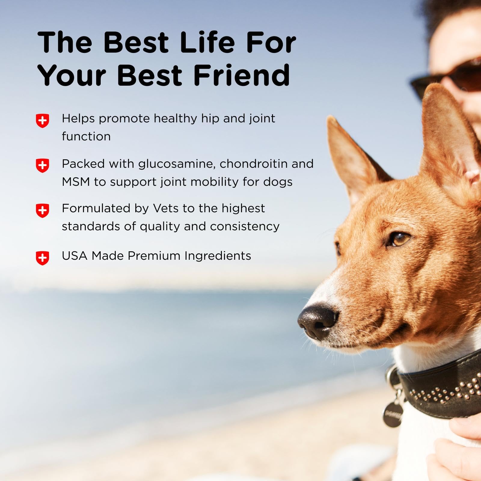 Nutri-Vet Advanced Strength emballage USA, ingrédients premium pour chiens.