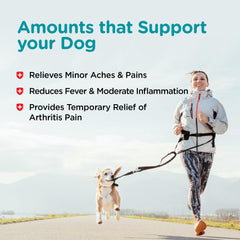 Nutri-Vet Aspirine pour chiens – articulation et confort lors des activités quotidiennes.