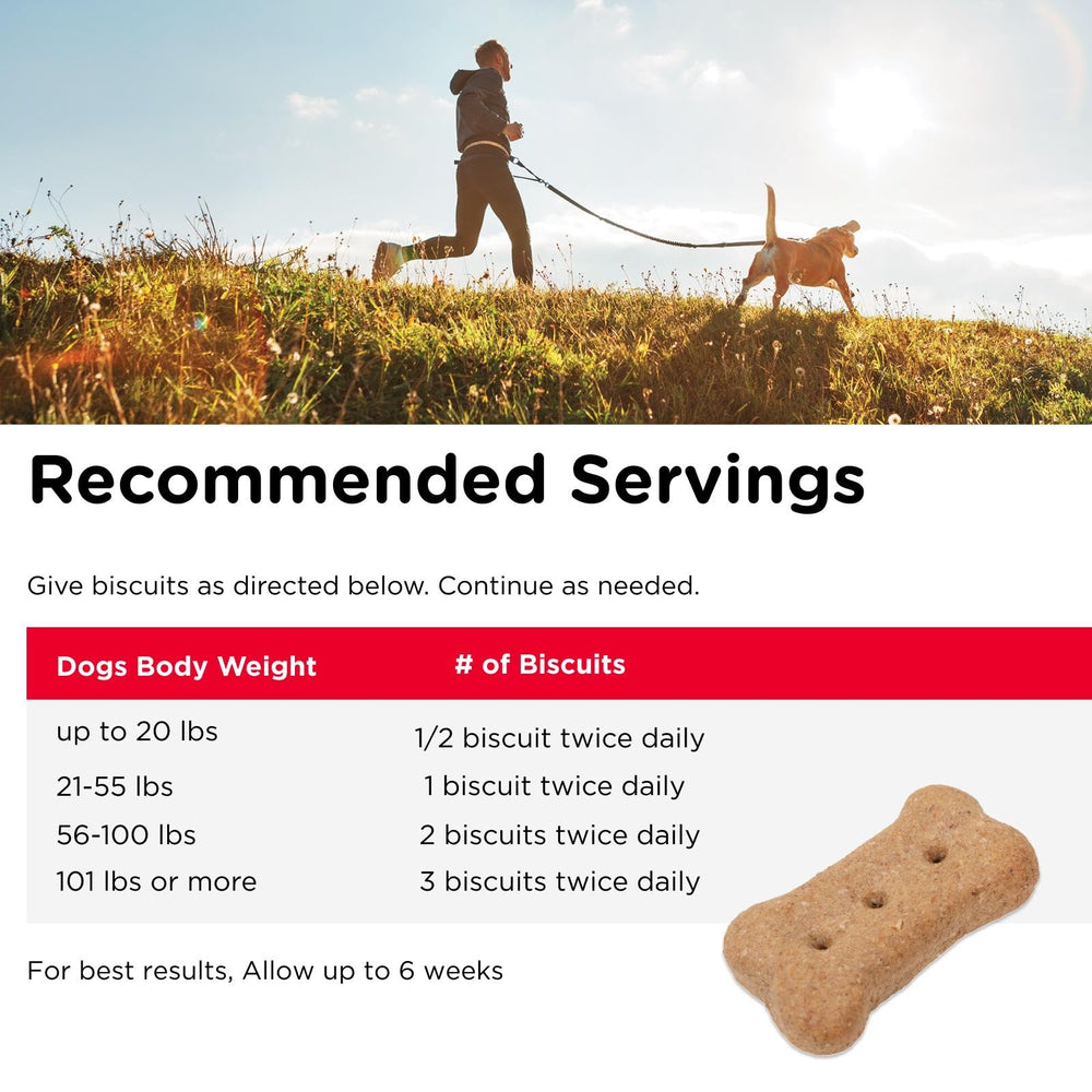 Nutri-Vet biscuit glucosamine 166 mg pour chien, soutien potentiel à la mobilité.