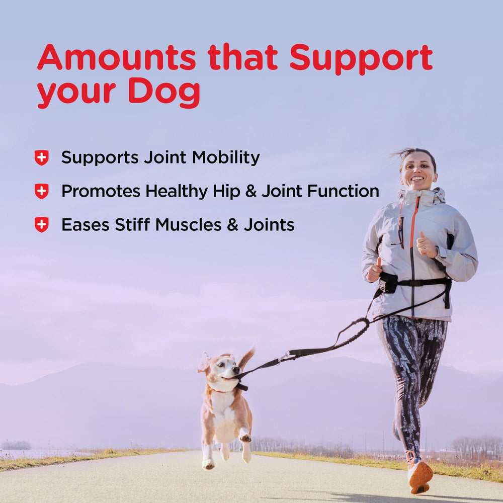 Nutri-Vet biscuit grand format, 300 mg de glucosamine par portion.