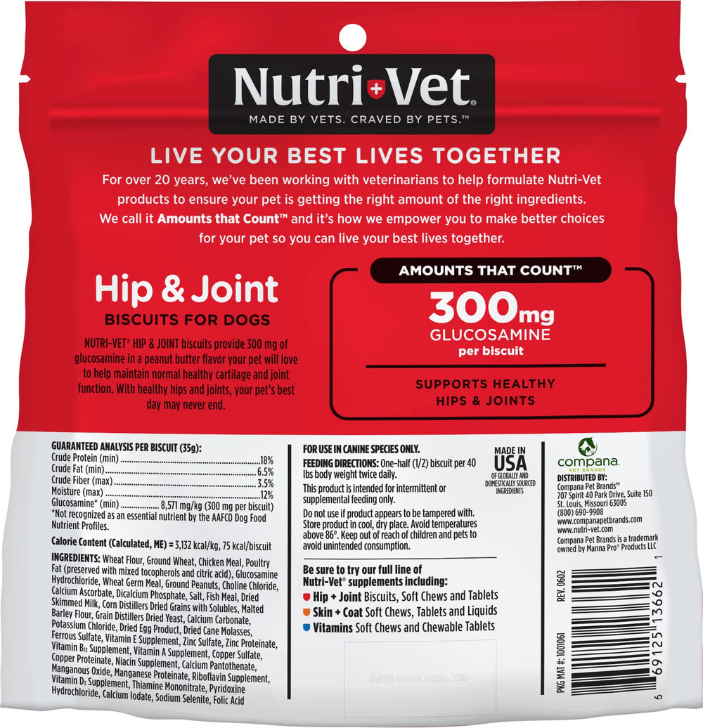 Nutri-Vet chien dégustant le biscuit, moment de récompense après l'exercice.