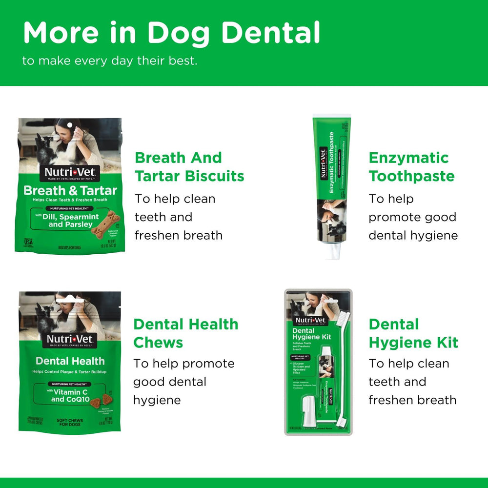 Nutri-Vet Dental Health Soft Chews coenzyme Q10, soutient les tissus buccaux.