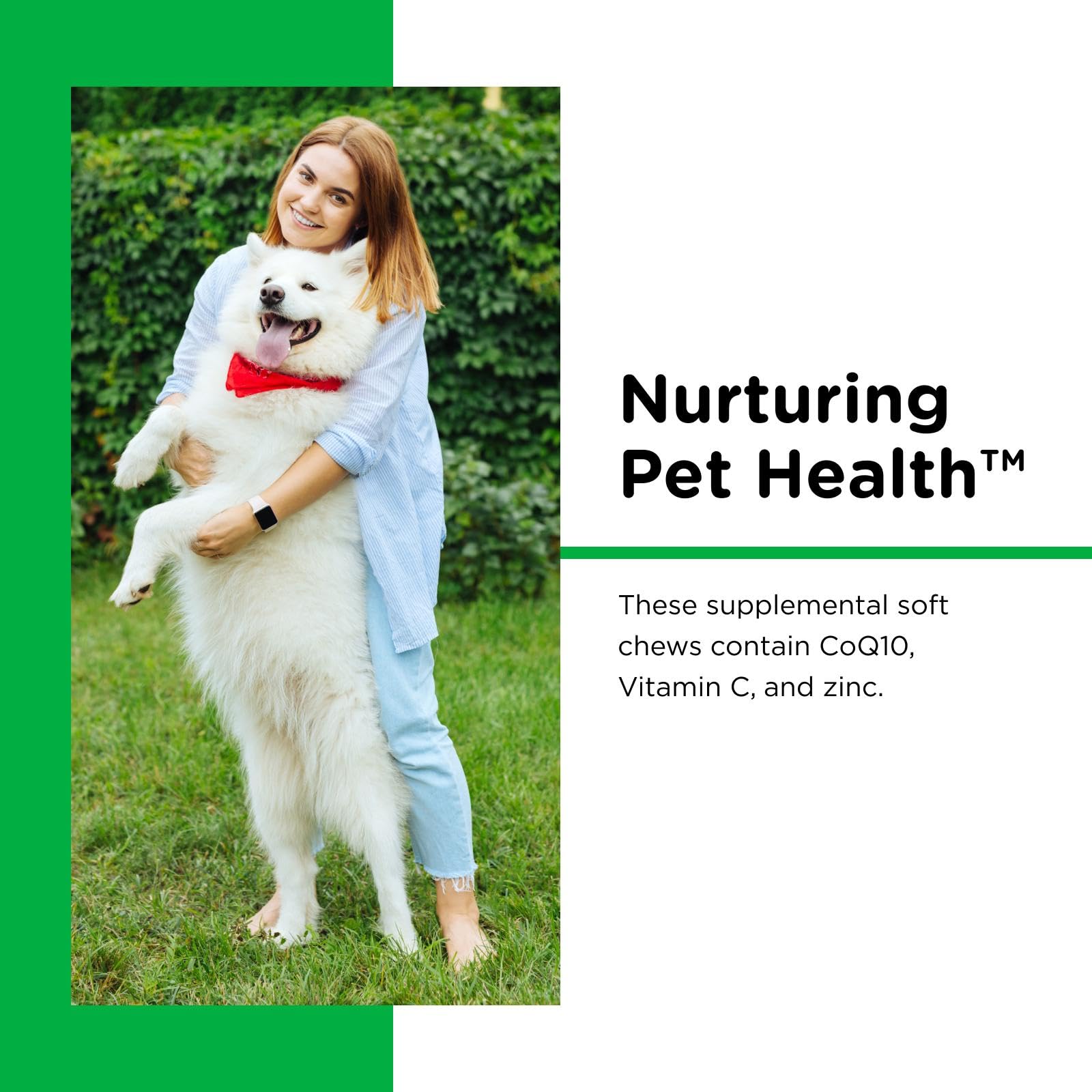 Nutri-Vet Dental Health Soft Chews haleine fraîche pour chiens.