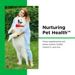 Nutri-Vet Dental Health Soft Chews haleine fraîche pour chiens.