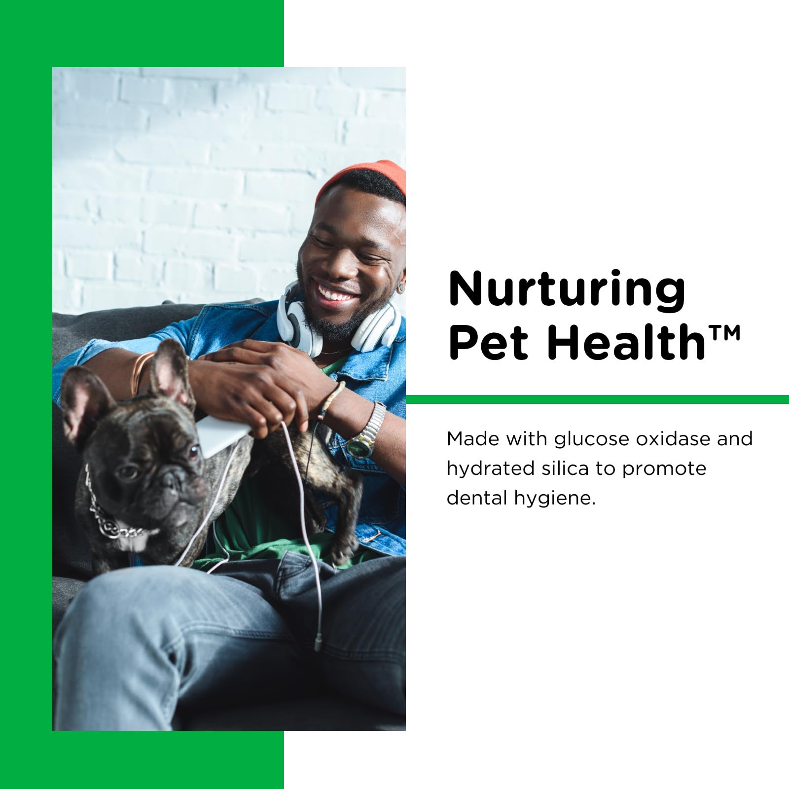 Nutri-Vet dentifrice enzymatique sans mousse, application sûre pour chiens.