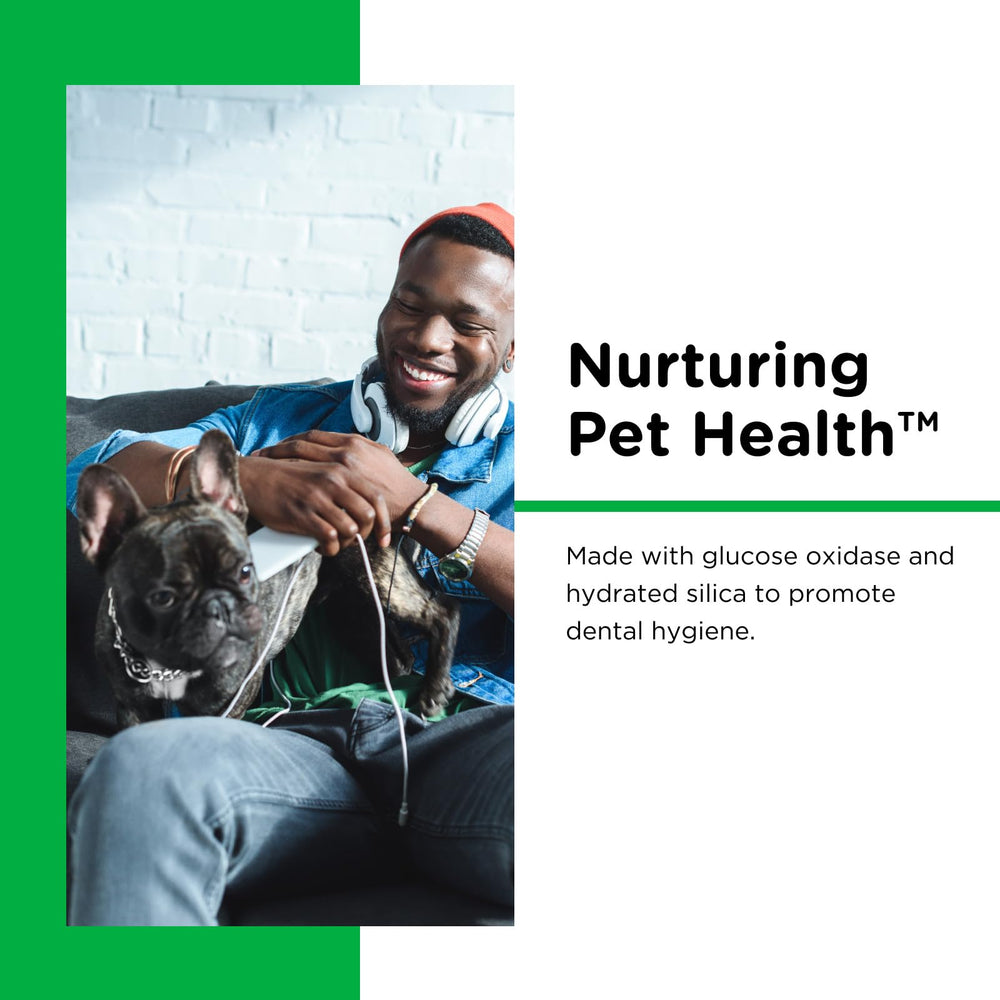 Nutri-Vet dentifrice enzymatique sans mousse, application sûre pour chiens.