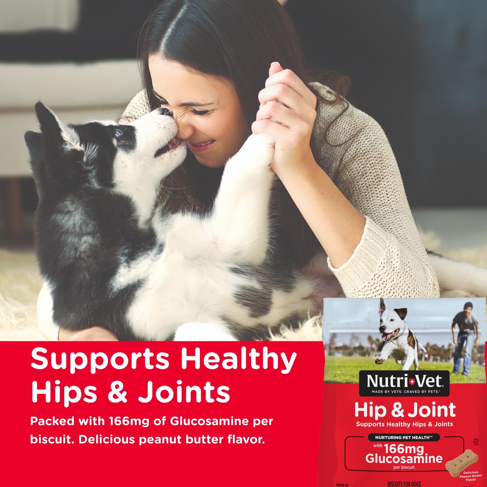 Emballage Nutri-Vet biscuit cacahuète pour chien, présentation attrayante et pratique.