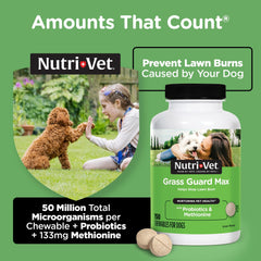 Chien prenant Nutri-Vet Grass Guard Max avec plaisir.