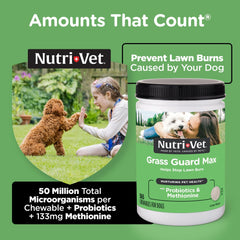Nutri-Vet Grass Guard probiotiques-enzymes, soutiennent le microbiome intestinal.