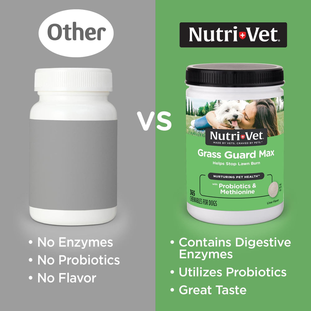 Nutri-Vet Grass Guard tablettes-digestion, favorisent une digestion équilibrée.