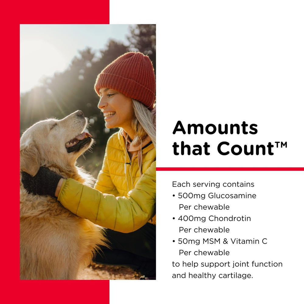 Ingrédients clés glucosamine chondroïtine MSM pour le cartilage