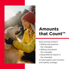 Ingrédients clés glucosamine chondroïtine MSM pour le cartilage
