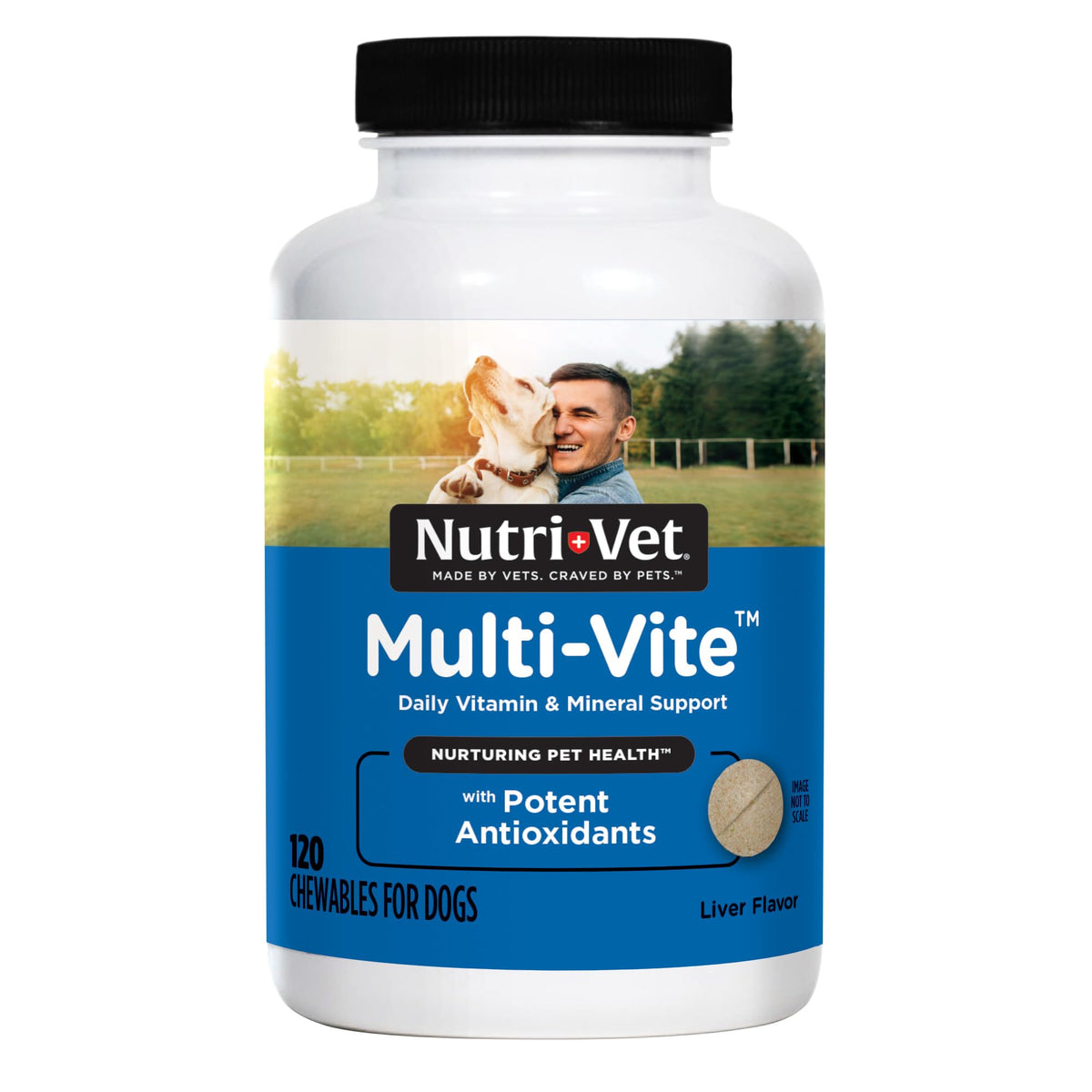 Nutri-Vet Multi-Vite comprimés au foie, soutien gustatif pour chien actif.