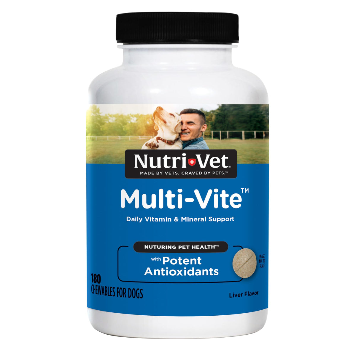 Nutri-Vet Multi-Vite pour chien, bouteille, comprimés à croquer énergie et immunité.