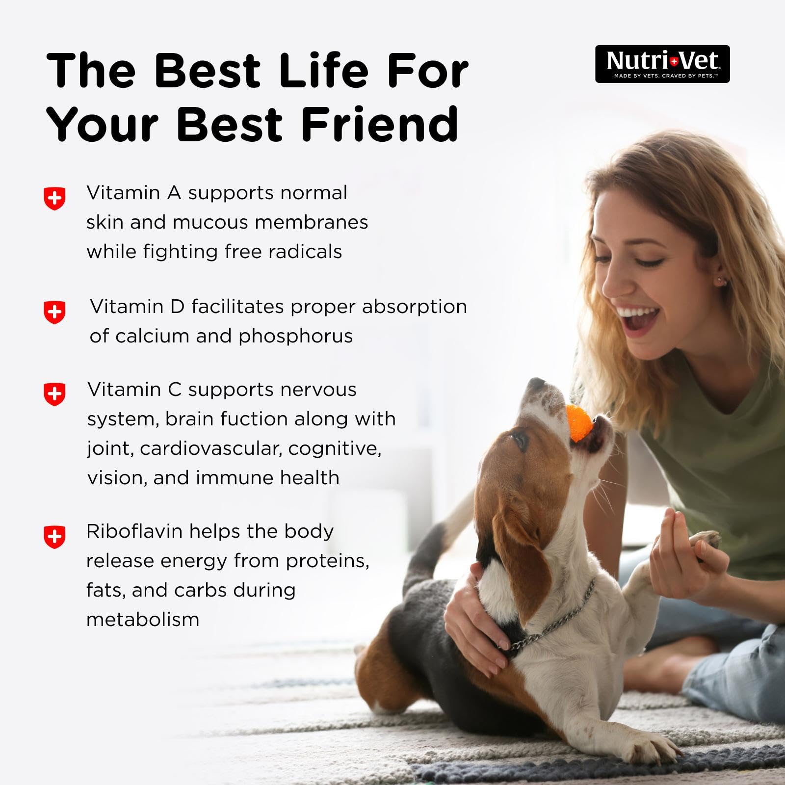 Nutri-Vet Multi-Vite pour chien format vétérinaire, formulation professionnelle pour vitalité.