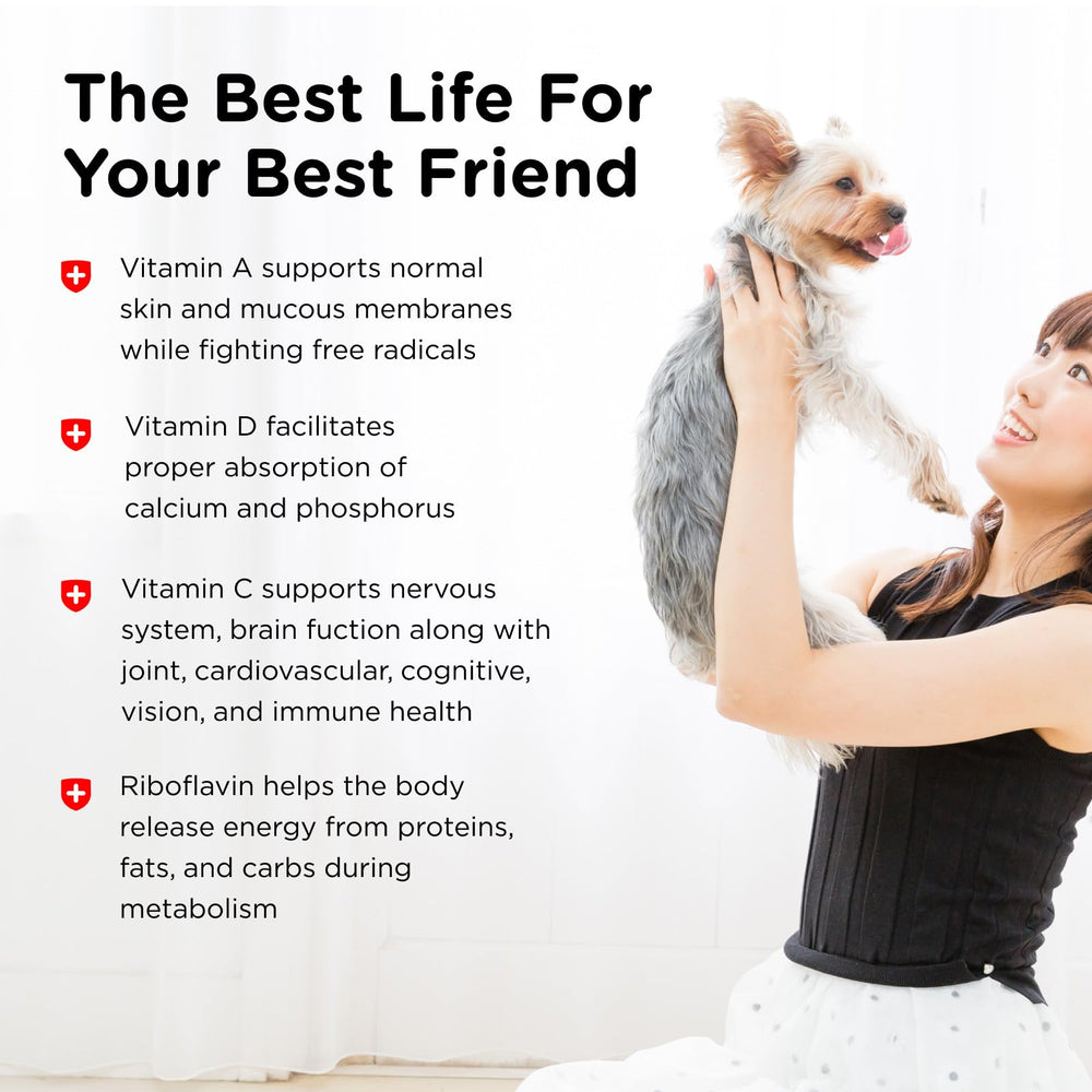 Nutri-Vet Multi-Vite – pelage brillant et peau saine chez le chien.