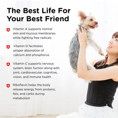 Nutri-Vet Multi-Vite – pelage brillant et peau saine chez le chien.