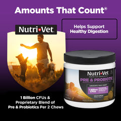Nutri-Vet Pre & Probiotiques: illustration Innulin, prébiotique utile pour flore intestinale