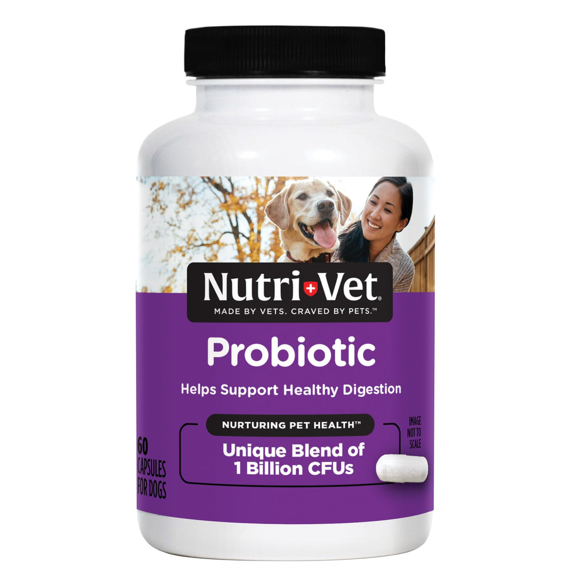 Nutri-Vet Probiotiques pour Chiens - bouteille montrée, soutien digestif naturel.