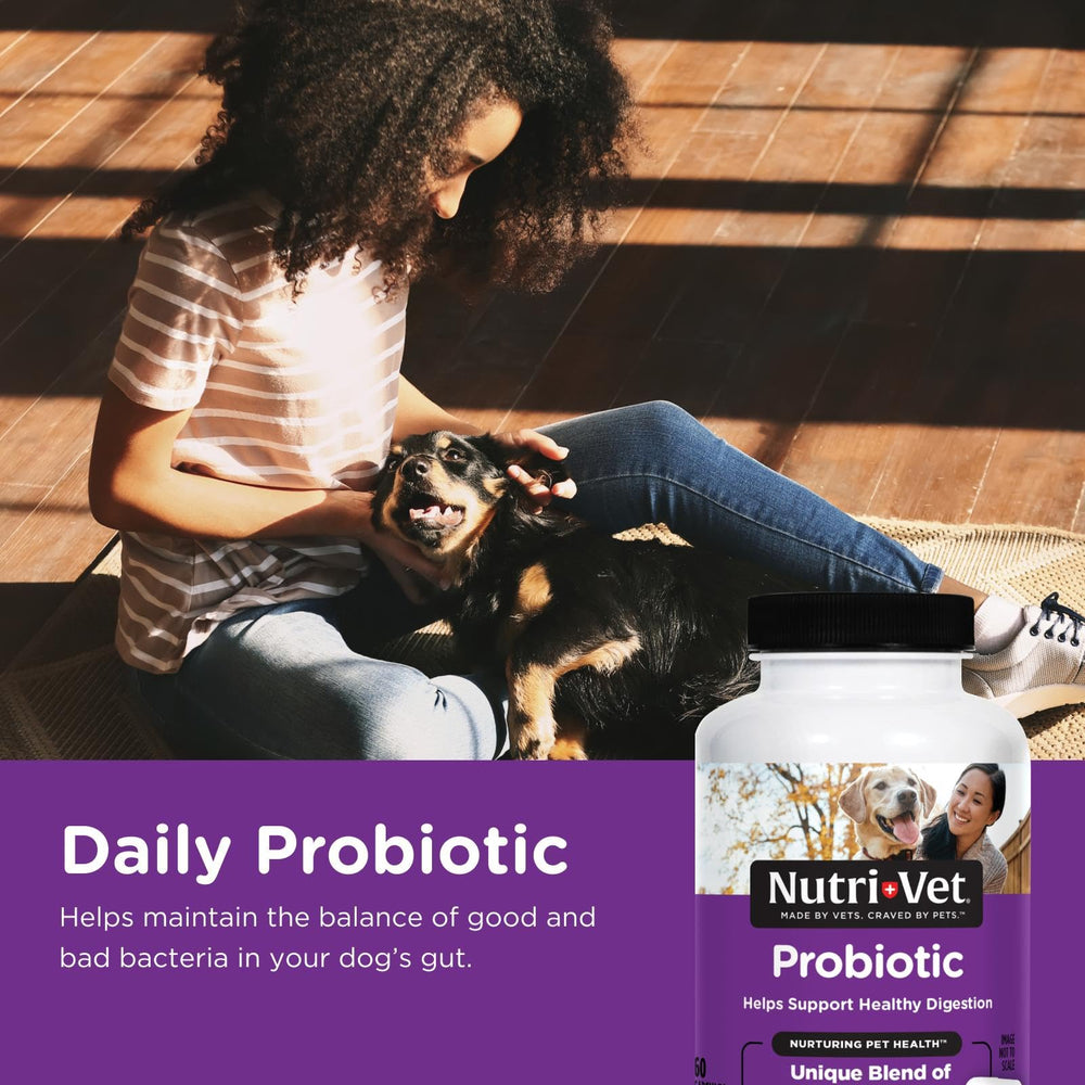 Nutri-Vet Probiotiques pour Chiens - capsules visibles, favorisent une digestion équilibrée.