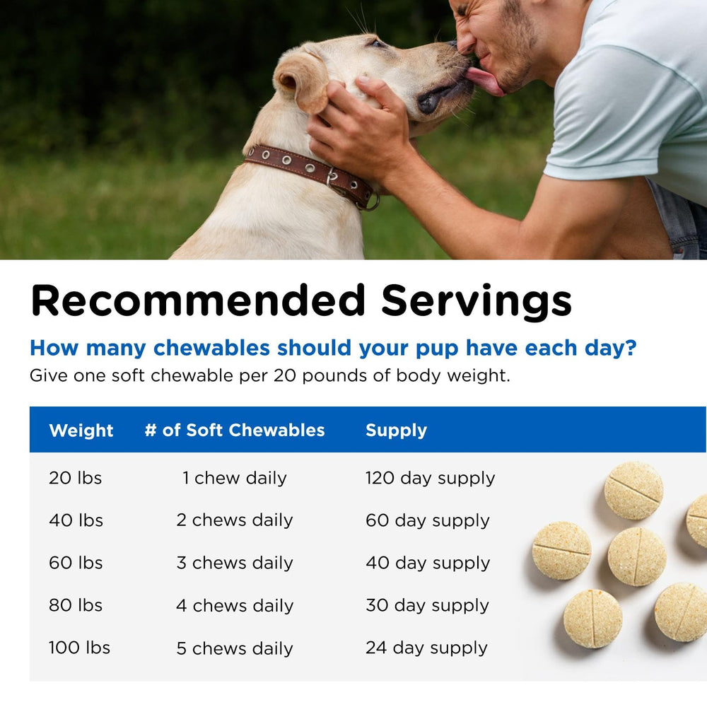 Nutri-Vet Senior-Vite soin peau et pelage des chiens.
