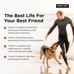 Nutri-Vet Senior-Vite bénéfique pour cerveau et cœur des chiens.