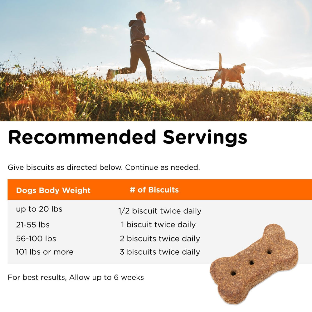 Biotine, zinc et antioxydants dans Nutri-Vet Skin & Coat Biscuits