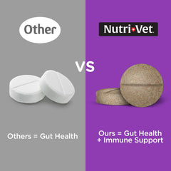 Nutri-Vet Soutien-immunitaire chien : complément pour le bien-être général.