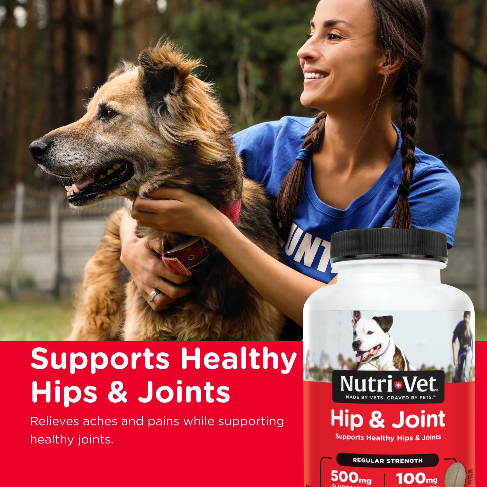 Nutri-Vet soutien mobilité articulations chien : bouchée savoureuse favorisant le mouvement quotidien.