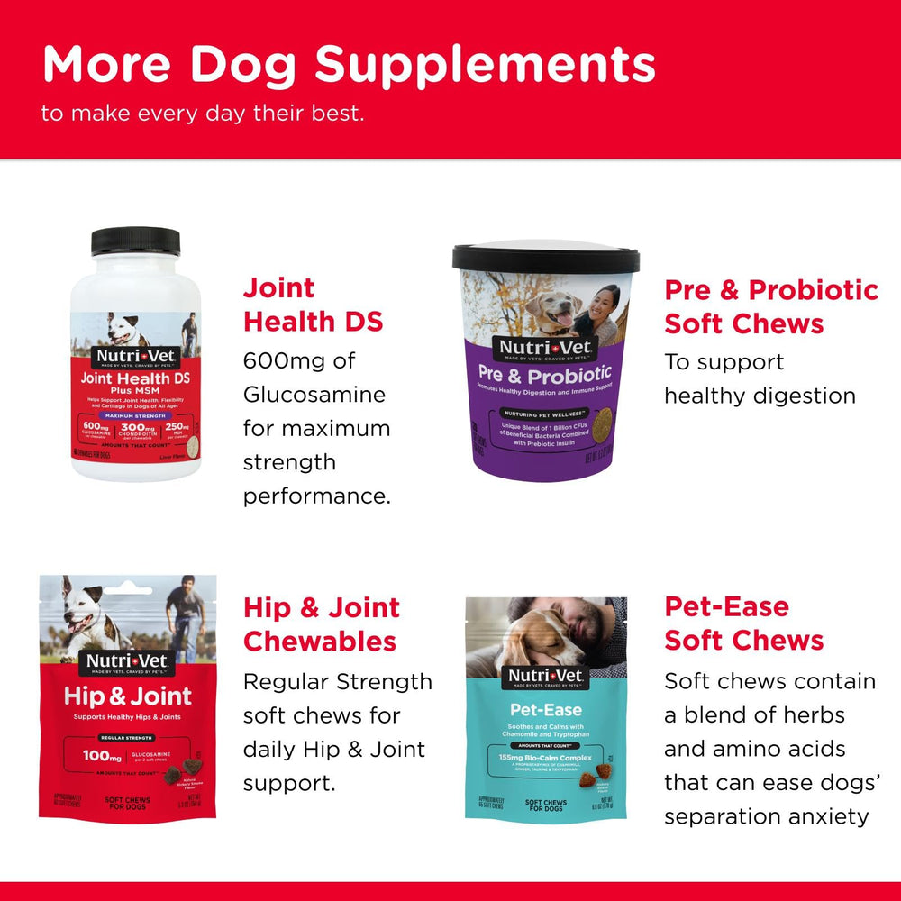 Soutien quotidien hanches et articulation avec Nutri-Vet, récompense savoureuse pour chien.